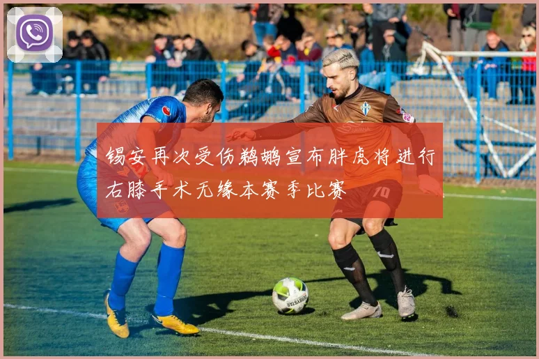 锡安再次受伤鹈鹕宣布胖虎将进行右膝手术无缘本赛季比赛