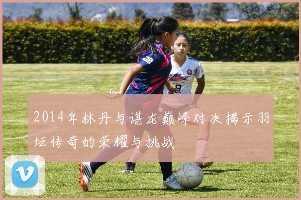 2014年林丹与谌龙巅峰对决揭示羽坛传奇的荣耀与挑战