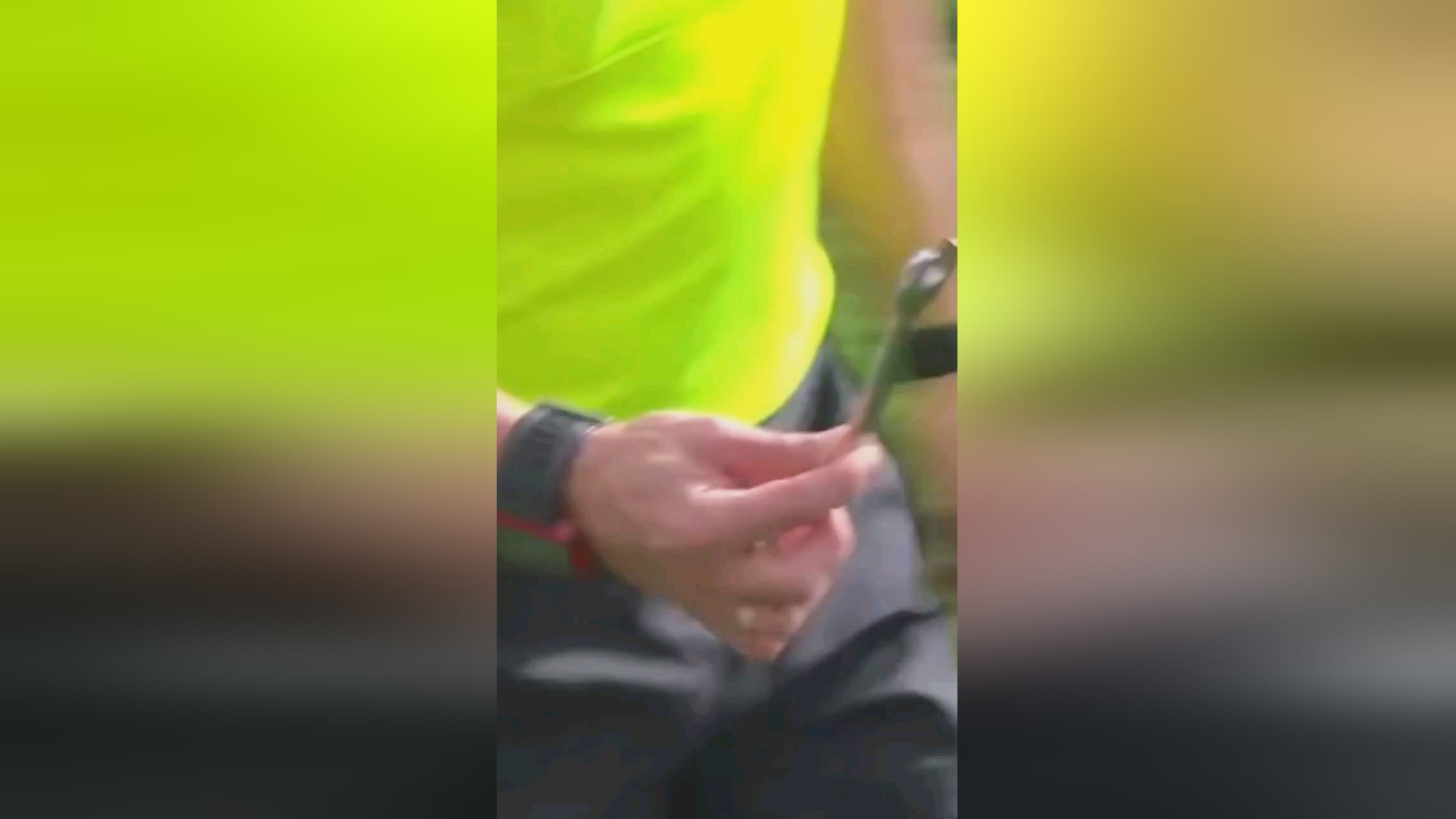 将成为球